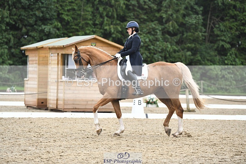 240720-160623-06391 - 187-Clare_Smith-Dori_Dragon_Fly