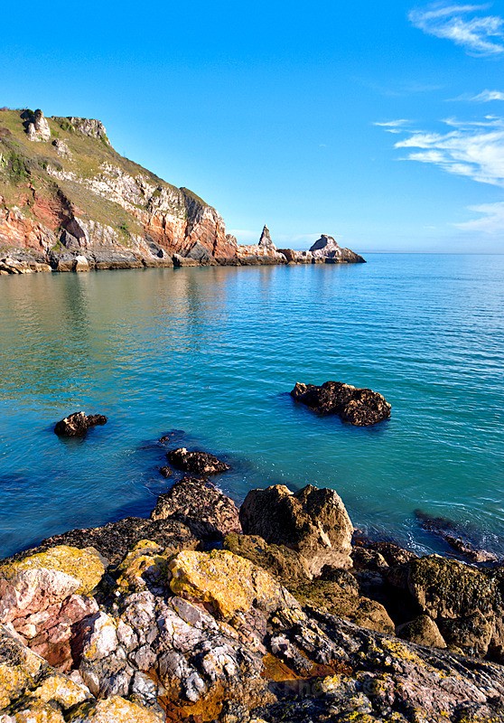 Anstey's Cove and Long Quarry Point in springtime - Portrait Views