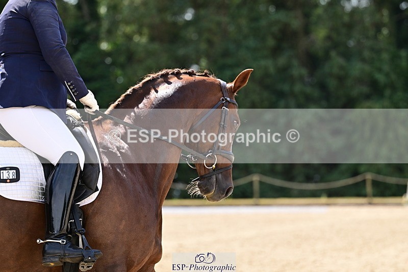 260802A-120125-06049 - Novice Silver break- end