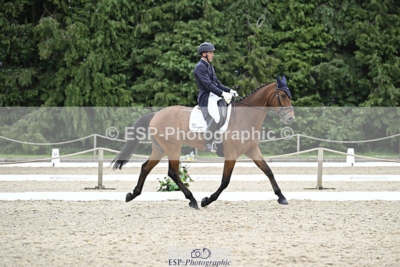 240523-161132-05419 - 443-FIGARO_DES_PREMICES-Alexander_Peternell