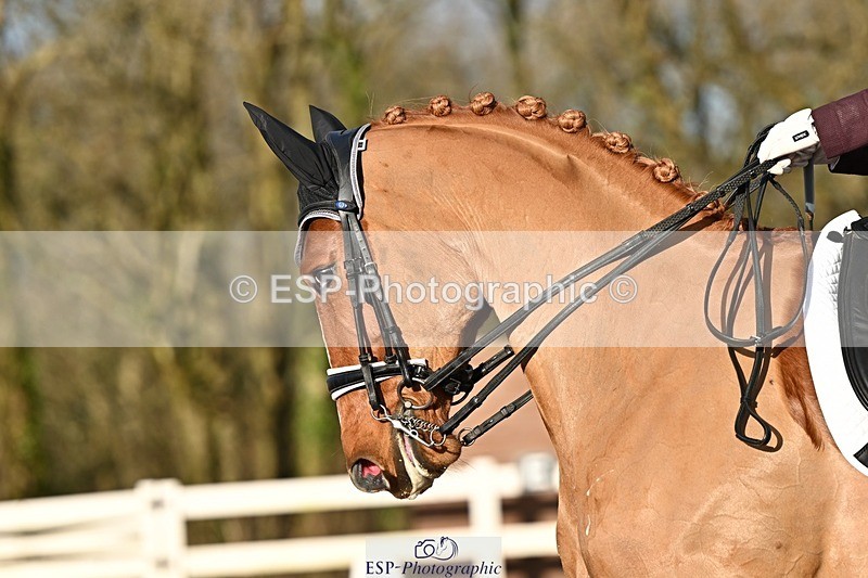 241214-134224-02549 - 112-kelly.jewell-Avalon