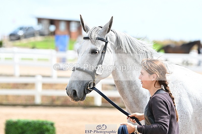 240717A-144352-02249 - Trot Up 2pm to 3pm - This folder is not in time order