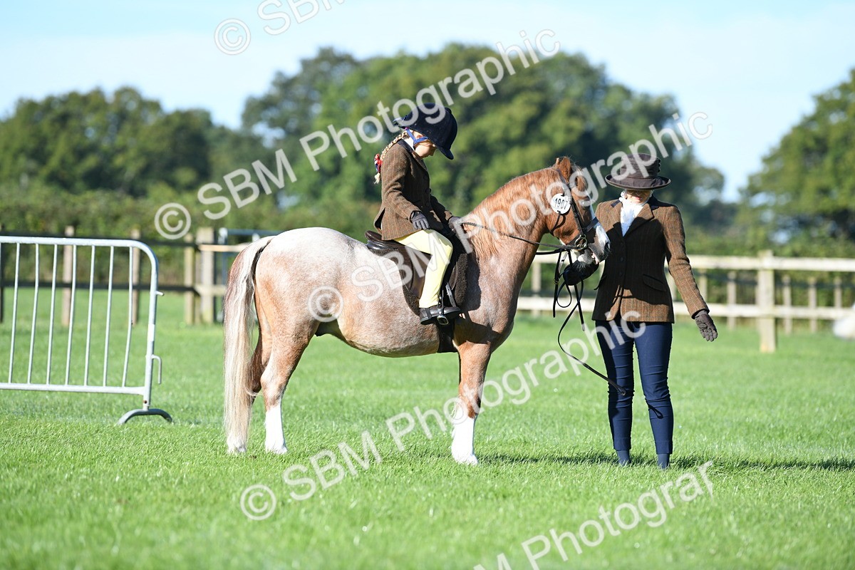 SBM_35331 - S17 - Condition & Turnout - Lead Rein