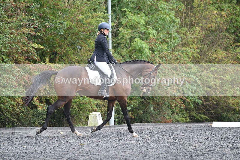 WJ7_3804 - Time 11:04 to 11:38