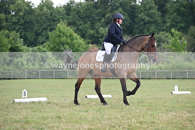 WJ6_7194 - Time 12:25 to 12:56