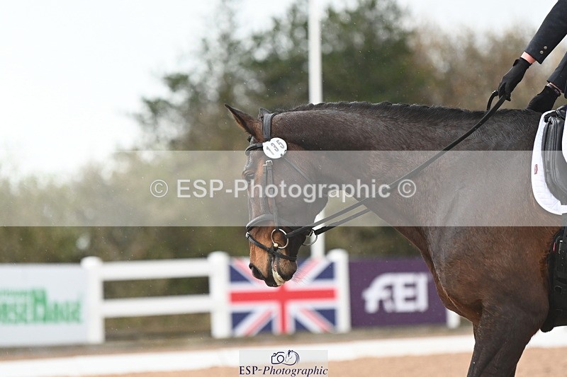 240323A-130742-03017 - DR Novice 34