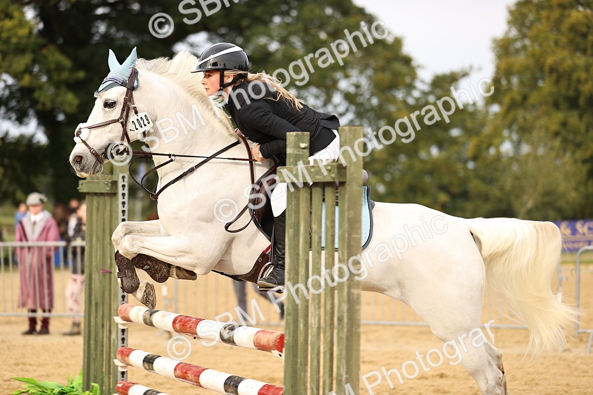 SBM_58181 - J41 - Grand Tour Horse & Pony 95cm