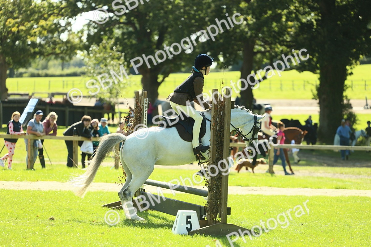 SBM_39203 - S29 - Novice & Newcomers Working Hunter Pony