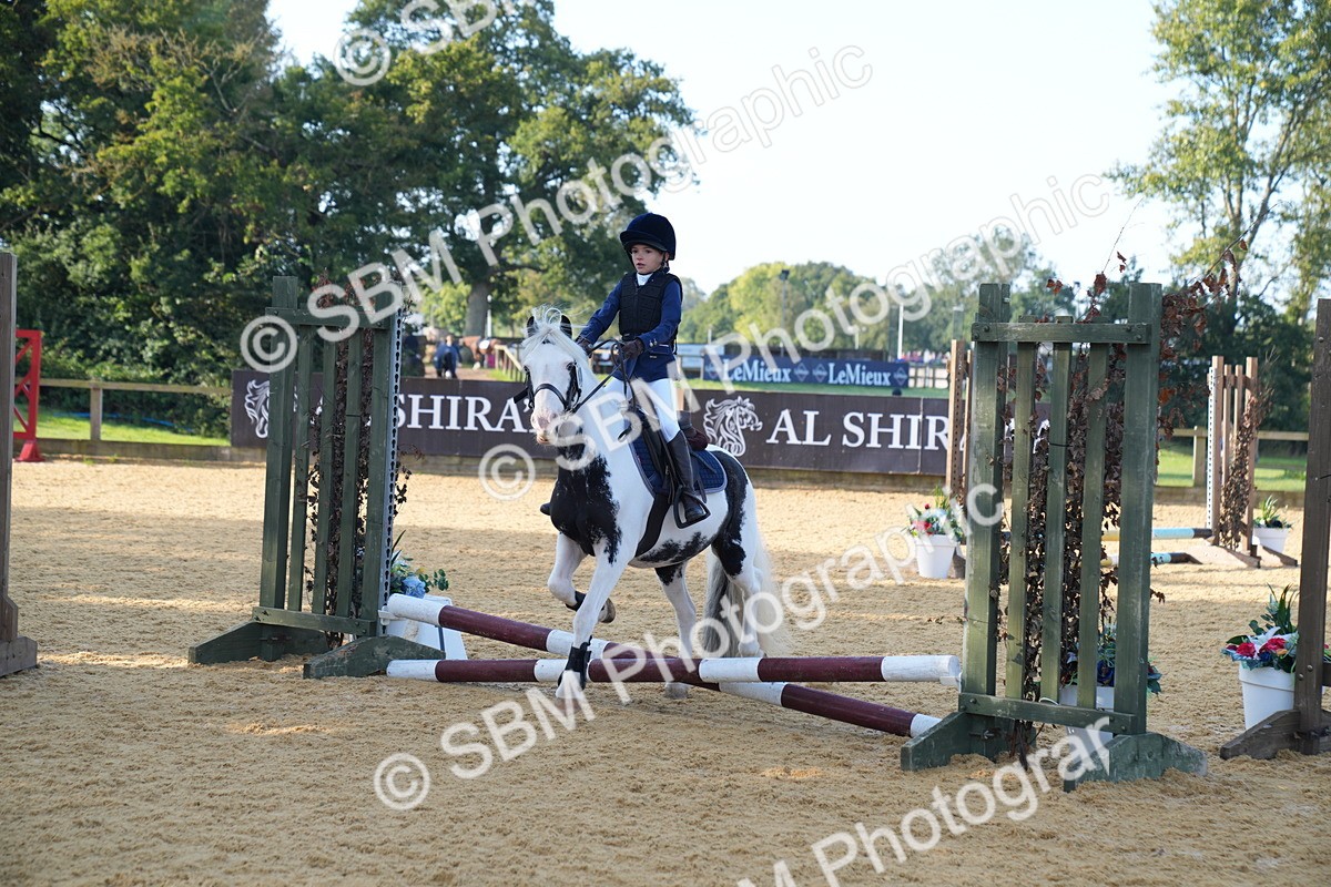 SBM_59097 - J63 - Minis Clear Round 30cm 40cm