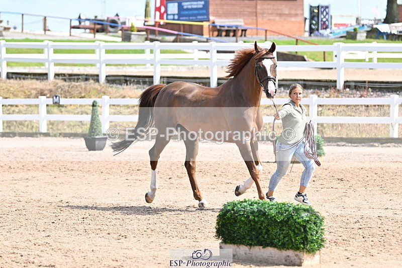 240717A-152704-02834 - Trot Up 3pm to 4pm