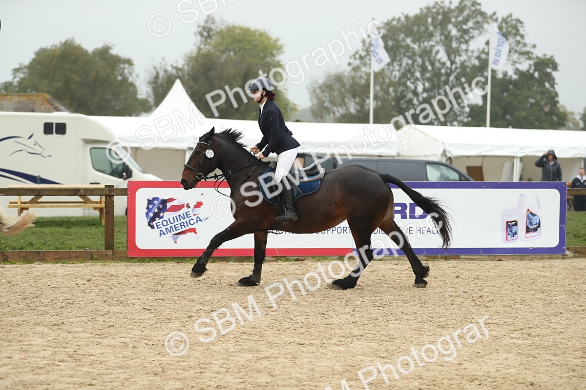 SBM_74156 - J16 - Junior Pony 75cm Championship