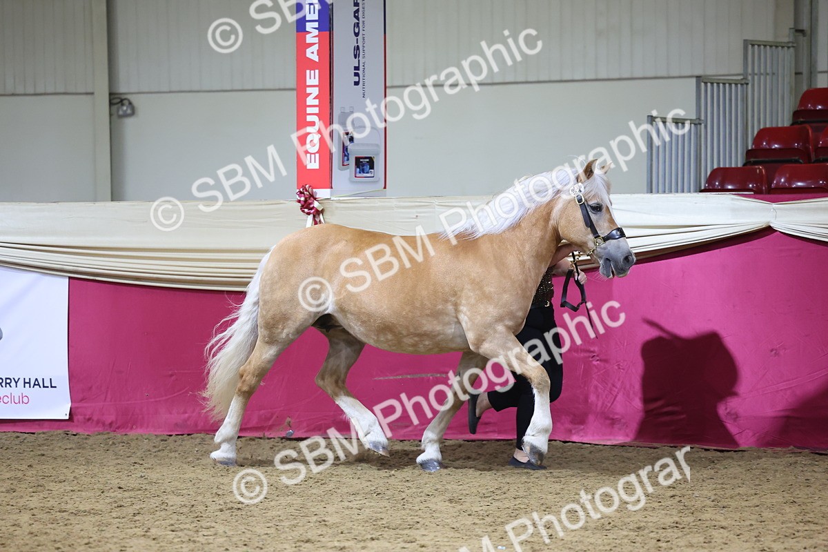 SBM_18685 - Class D IH Pony Champ