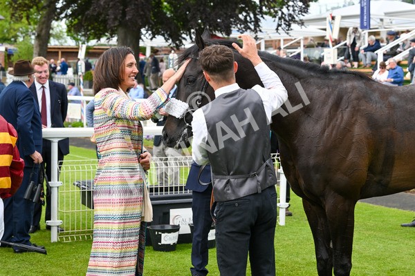 150525-Tropical Storm-5068 - Race 5 4.18pm British Stallion Studs EBF Westow Stakes