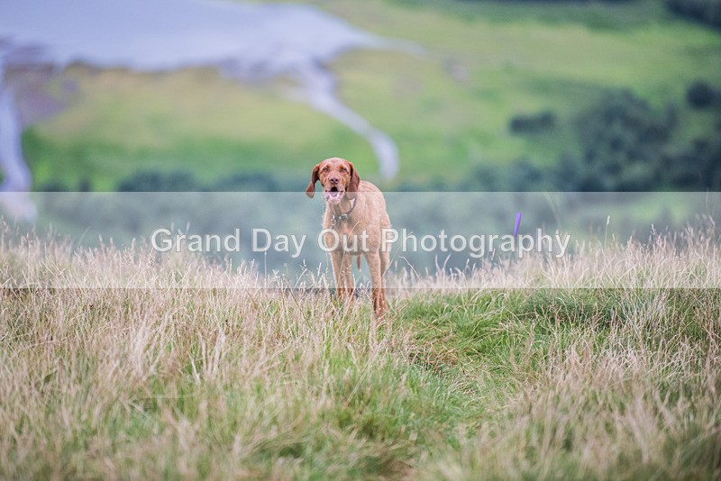 Steel Fell-10 - Steel Fell Race Wednesday 9th August 2023