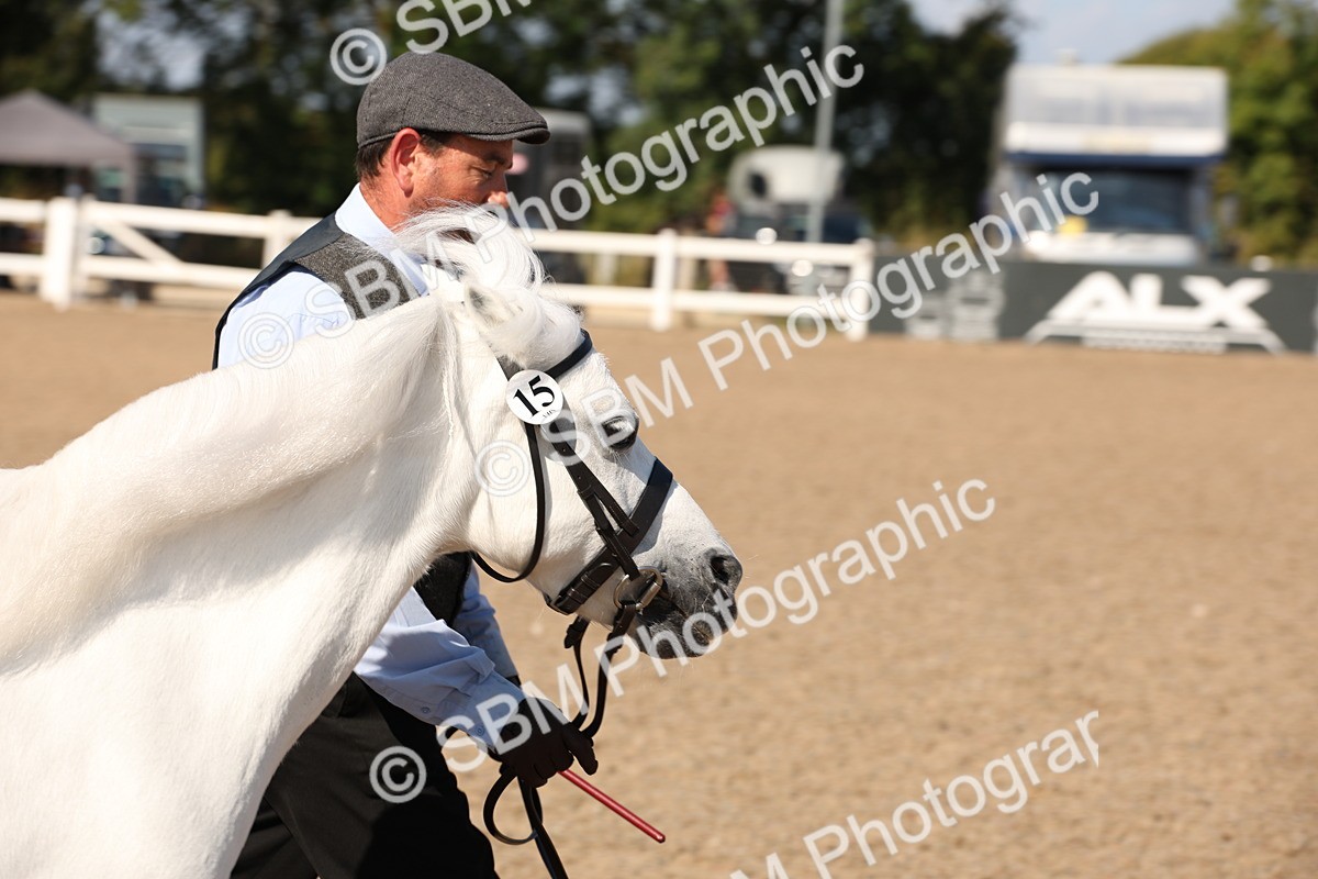 SBM_02749 - Class 16 IH M&M Wildcard