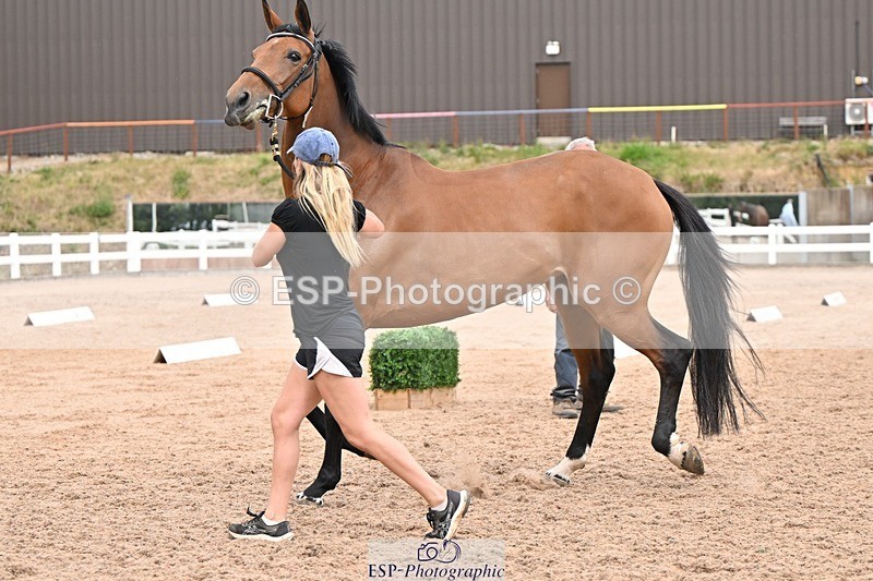 250716-161552-02533 - Trot Up 3.30 to 4.30