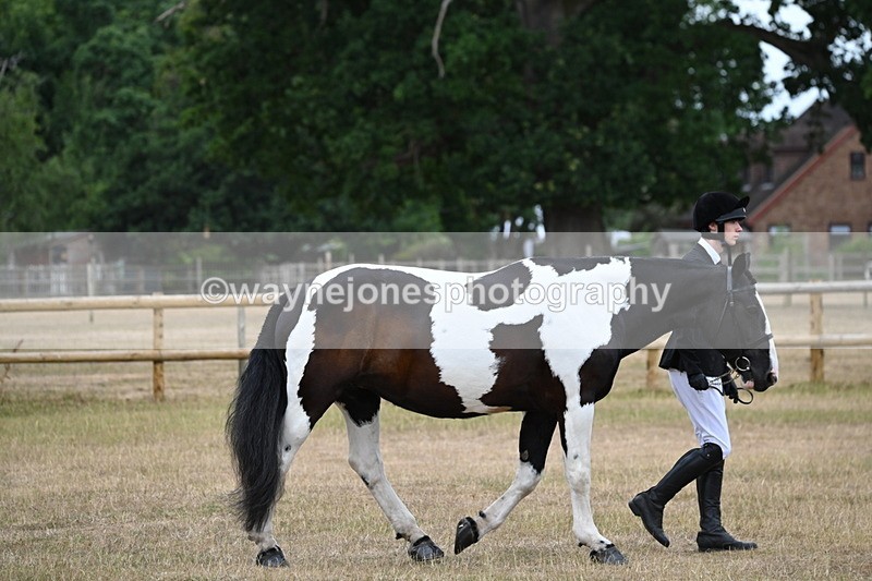 WJ6_7830 - Class 10 Coloured in Hand