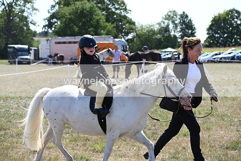 WJ6_7896 - Class 36 Lead Rein
