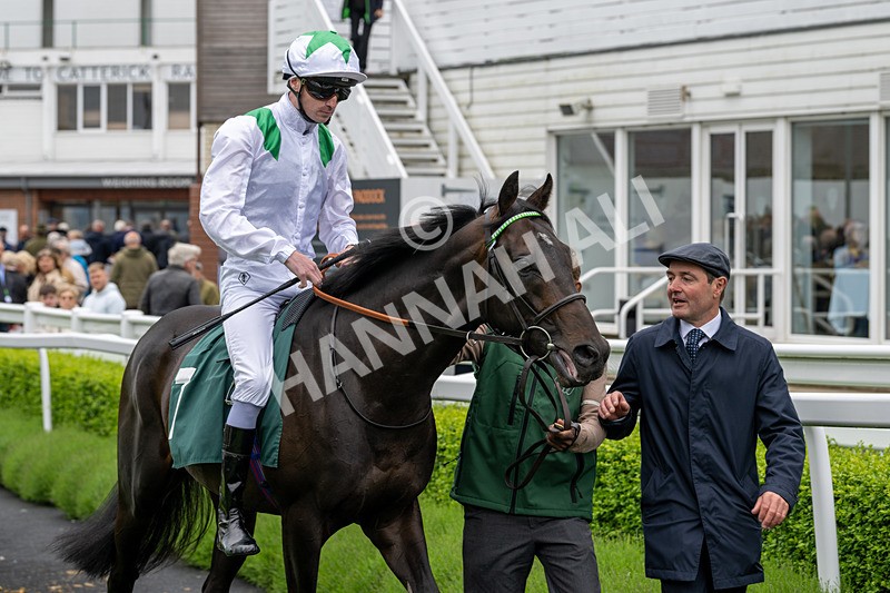 230524-Race 3-See The Green-1508 - Race 3