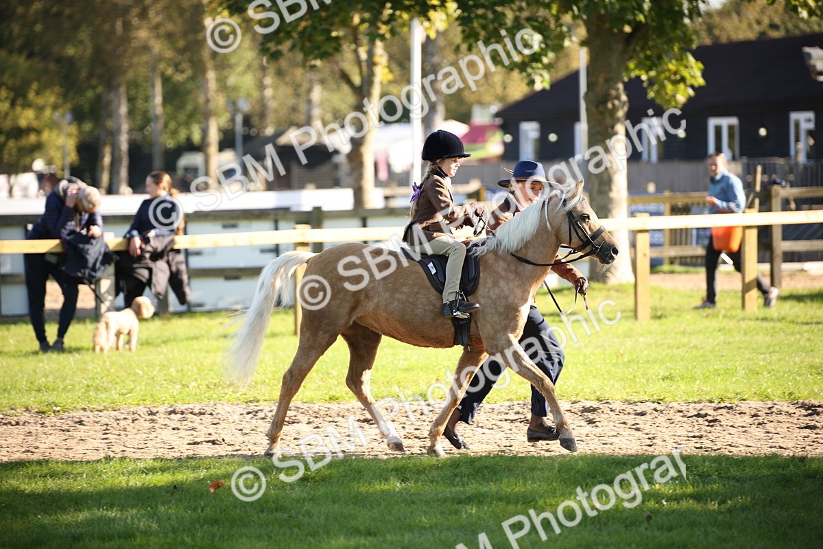 SBM_35681 - S9 - Lead Rein Equitation