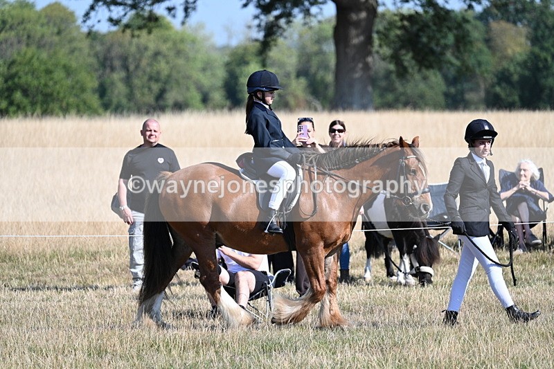 WJ7_3050 - Class 8 Ridden Tack & Turnout
