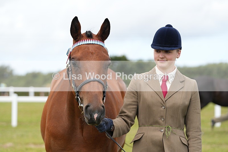 DSC06398 - Class 55: Hunter/Riding Horse/Hack 3 & 4 yr olds