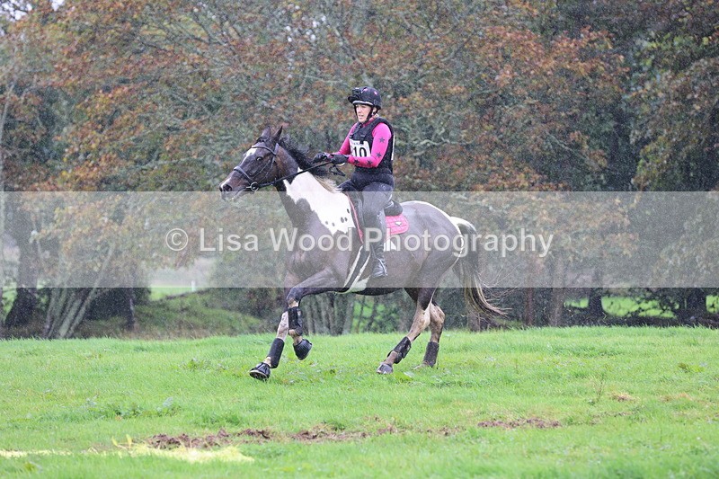 JPP_5181 - Class 2:  70cm: Zig Zag