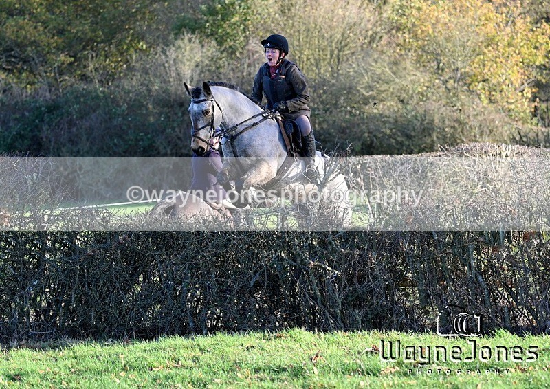 WJ7_5006 - Edited examples