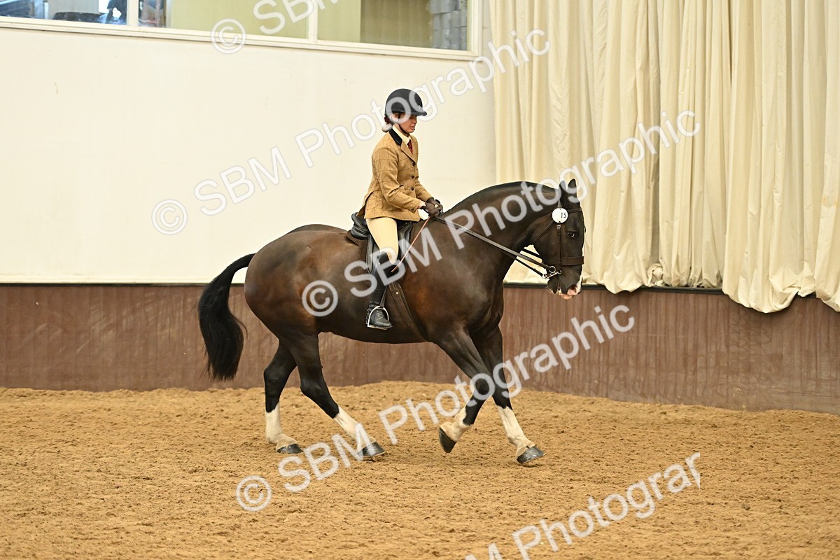 SBM_002017 - Class 21 - BSHA Ridden Show Cob