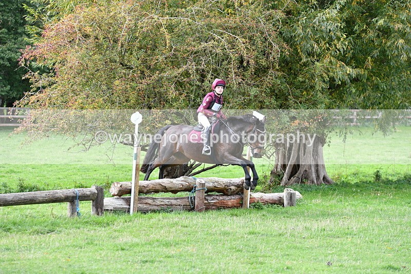 WJ5_0790 - Time 13:59 to 14:28