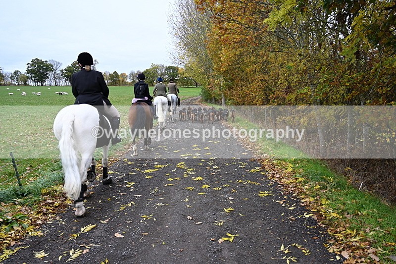 WJ6_9261 - Ride