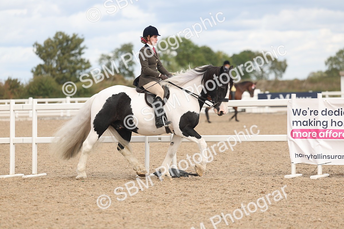 SBM_14738 - Class 308 - Ridden Coloured Horse