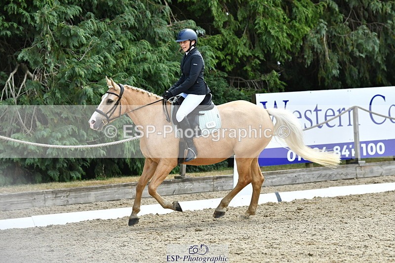 260801A-123715-04022 - Prelim Bronze Break - End