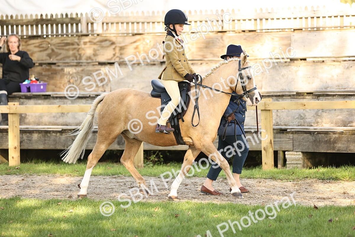 SBM_29362 - S7 - Novice & Newcomers Ridden Pony