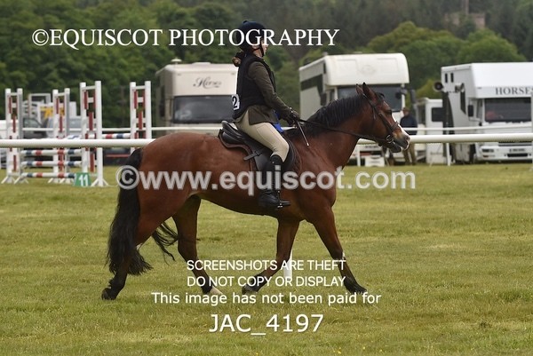 JAC_4197 - WORKING HUNTER CHAMPIONSHIP