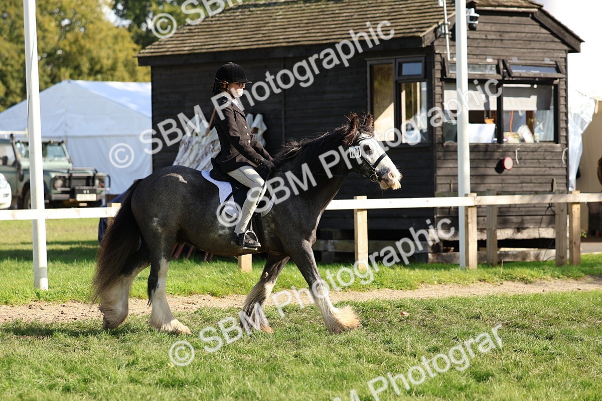 SBM_52352 - S13 - Pony Club Pony