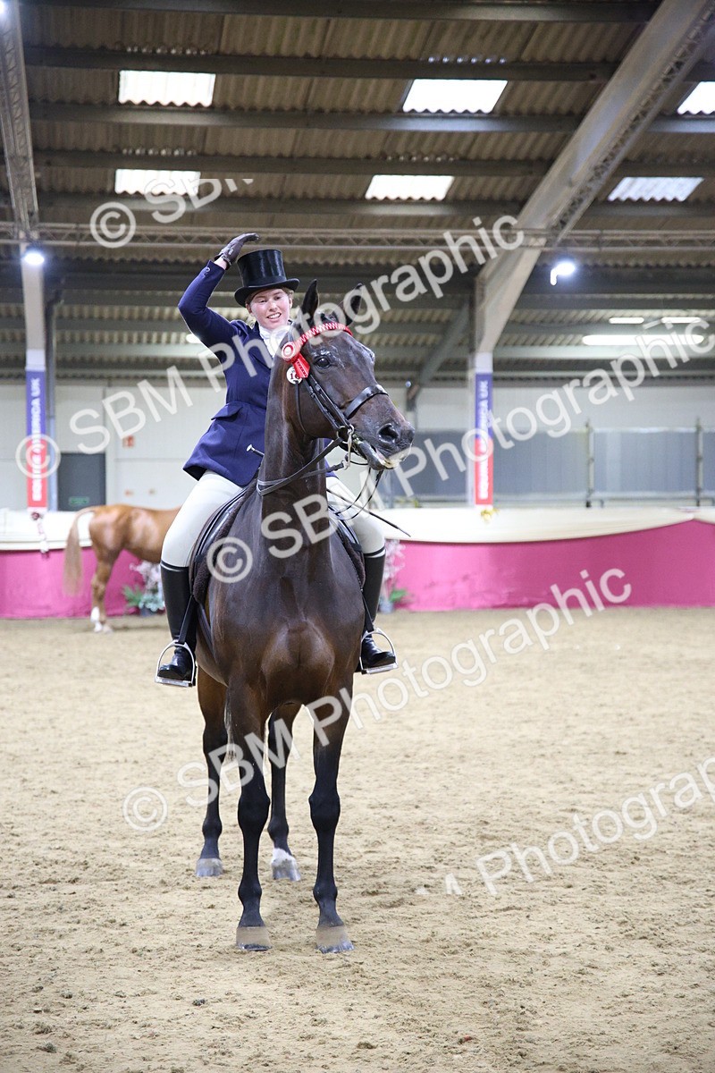 SBM_19113 - Class H Foreign Breeds Champ
