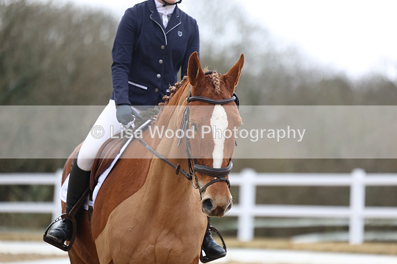 3E7A9536 - Class 2: Intro 1 2024 sec B - part two