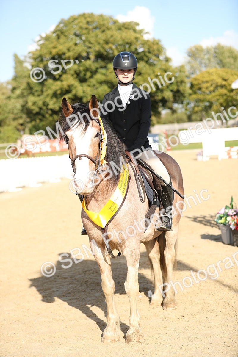 SBM_49635 - J22 - Junior Horse 65cm Championship