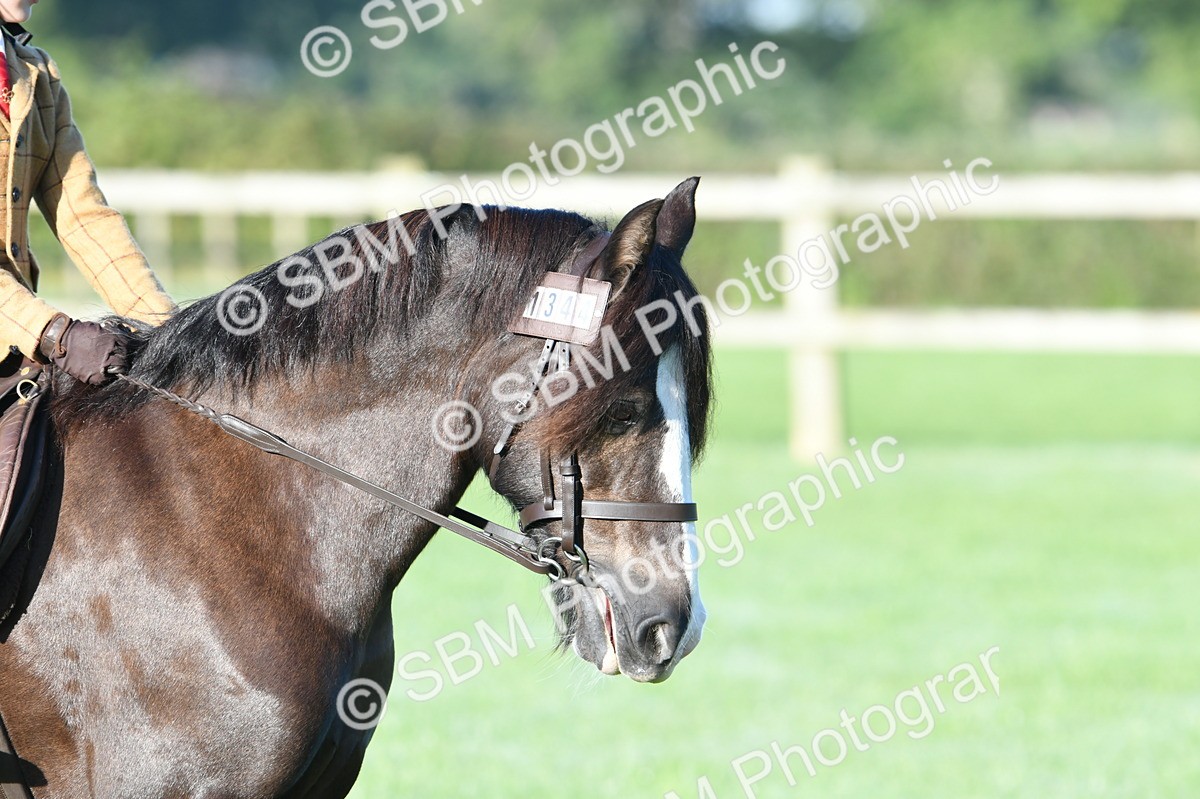 SBM_33891 - S16 - Condition & Turnout - Ridden