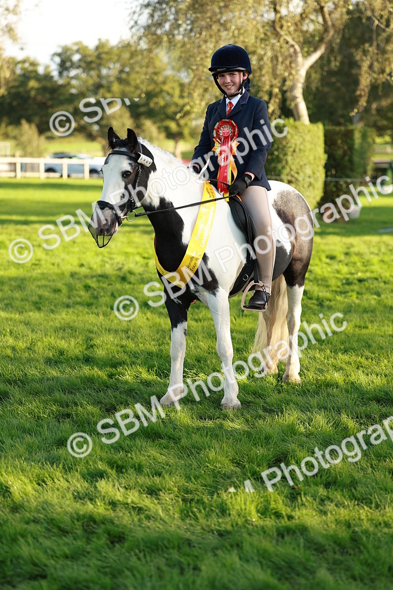 SBM_29321 - Novice & newcomer Supreme Championship
