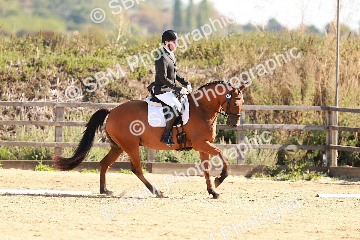 SBM_009916 - Class 6 - Novice 1