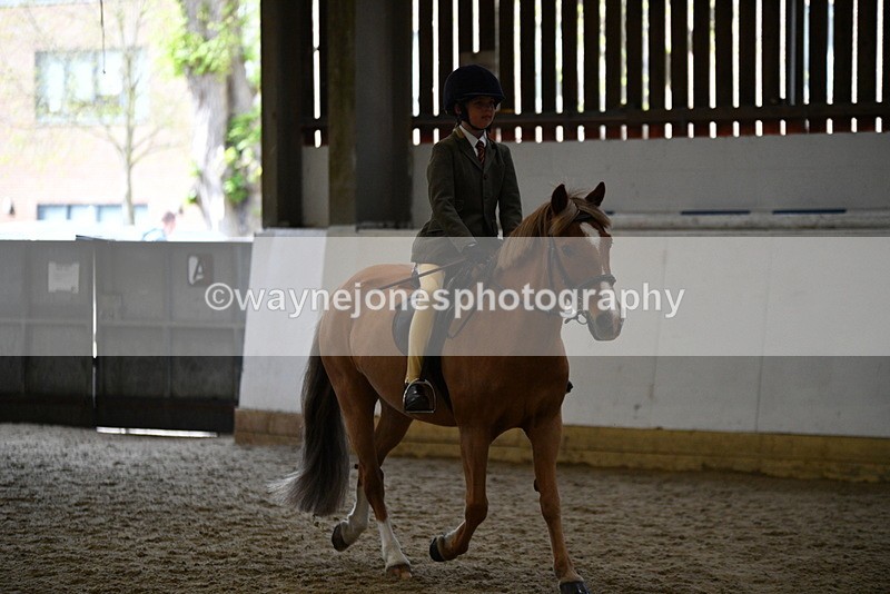 WJ5_6230 - Class 9 Ridden Veteran