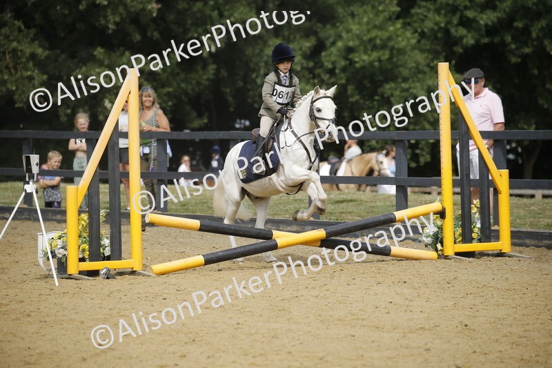 20250622-3736 - 50cm