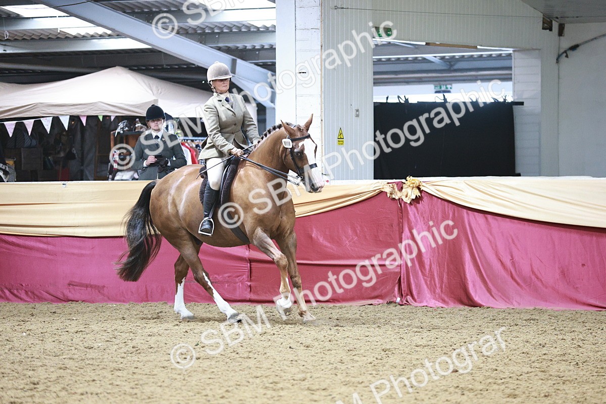 SBM_08961 - Class 12R - Regional Ridden Pre-Vet