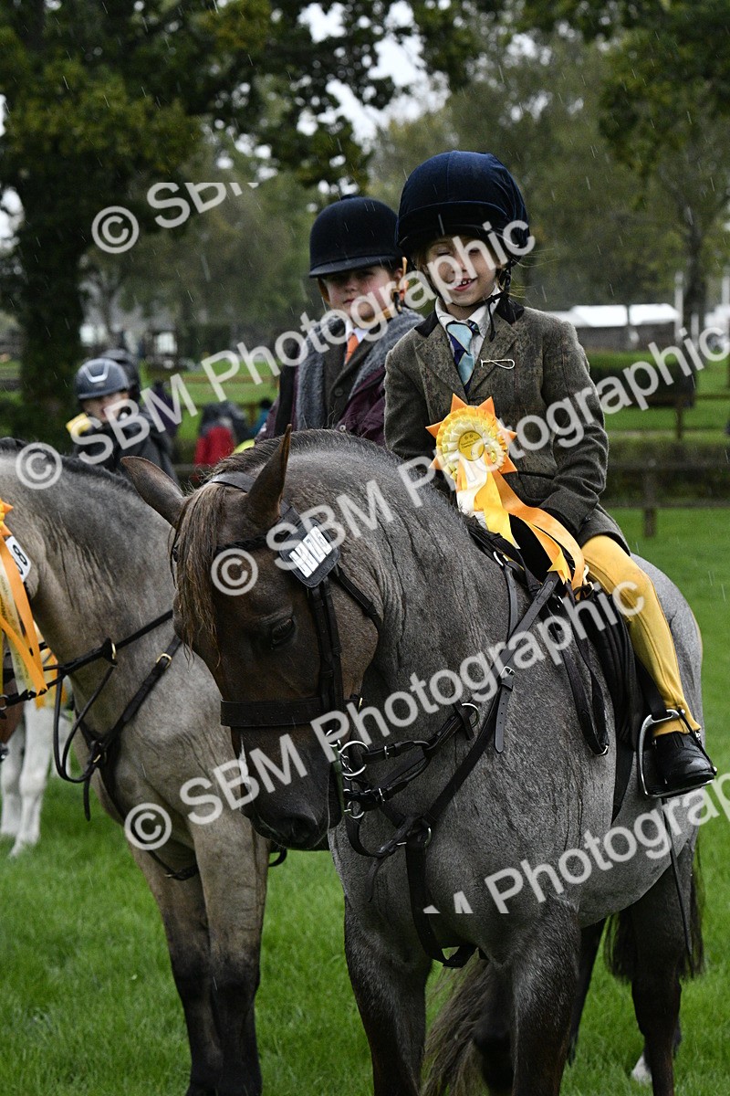 SBM_35607 - S30 - Nursery Stakes Working Hunter Pony