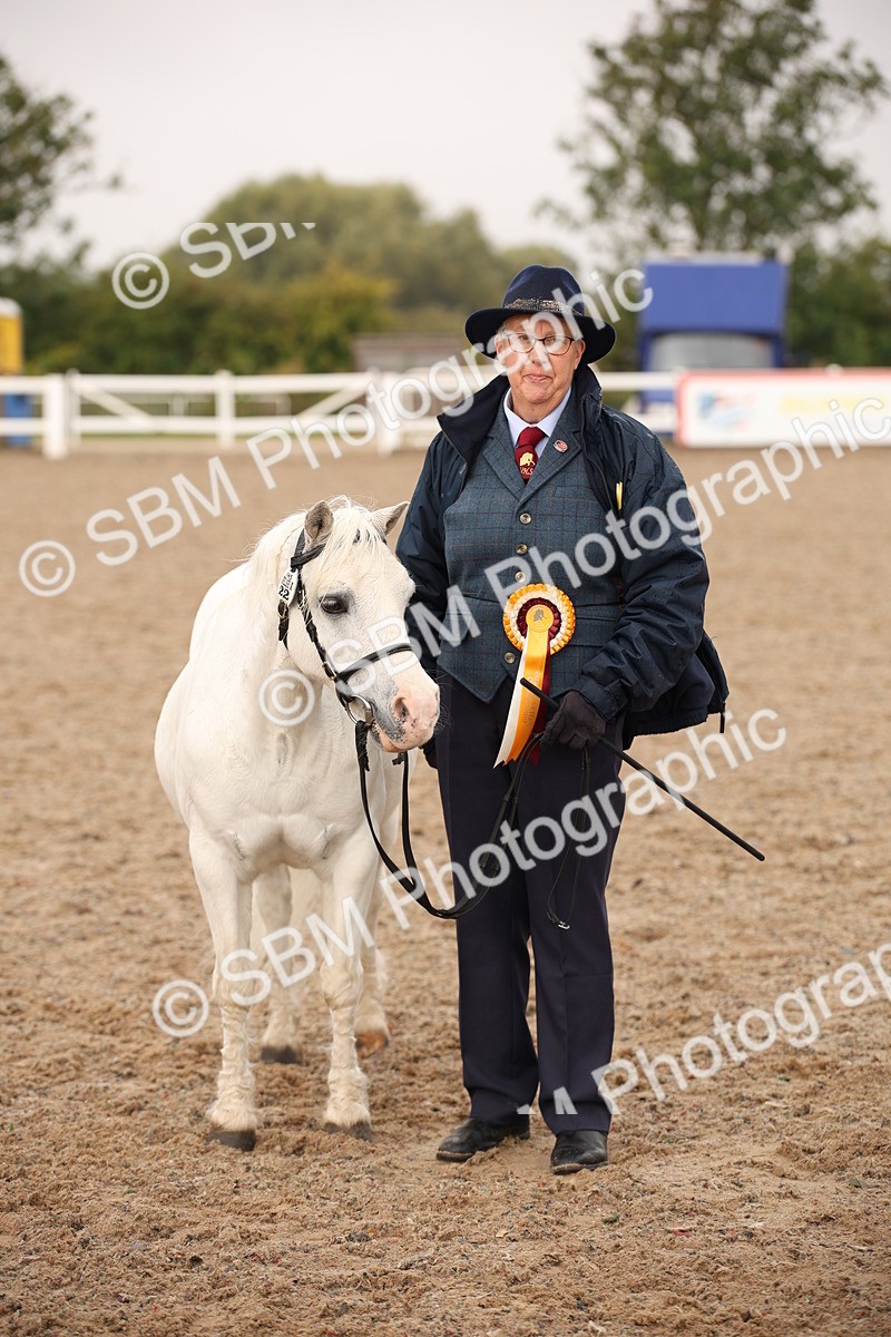 SBM_20735 - Class 705 - IH  Combination 65+