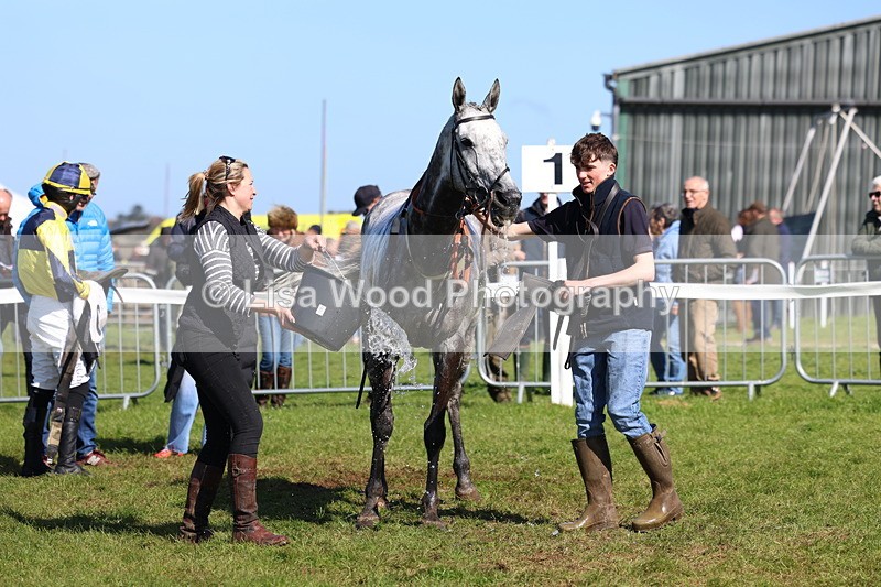 3E7A5349 - Race 4:  Maiden