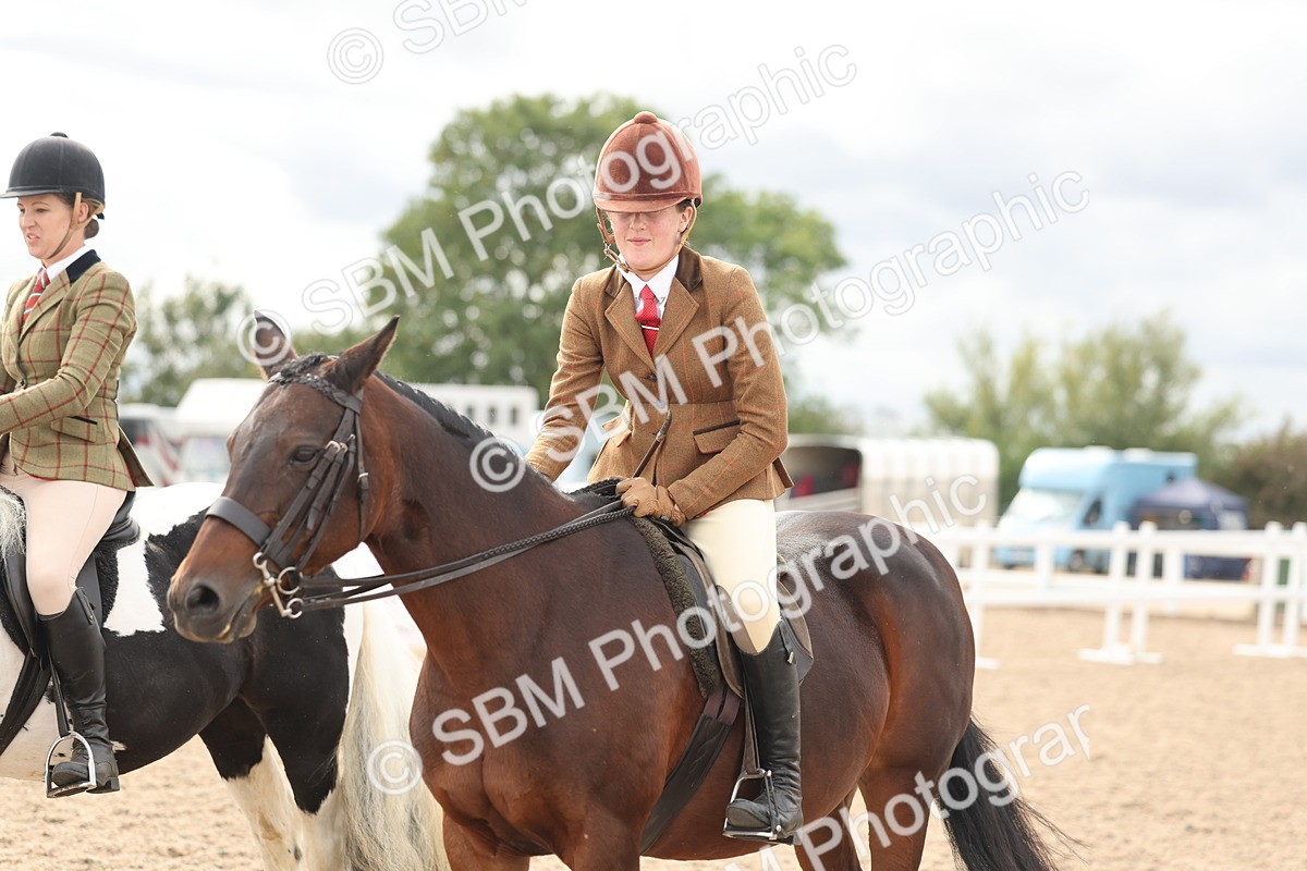SBM_18061 - Class 314 - Family Horse Pony