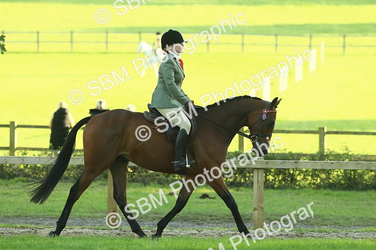 SBM_55584 - S14 - Riding Club Horse